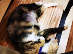 -玉椰林甜品店(创始店)