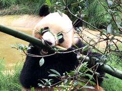 -云南野生动物园