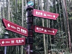 -缙云山景区