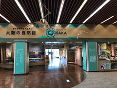 -大阪市立自然史博物馆