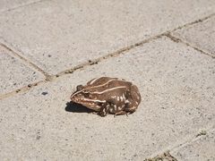 -野鸭湖国家湿地公园