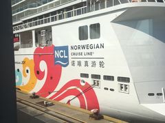 -吴淞口国际邮轮码头-停车场