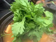 -华道钰善阁