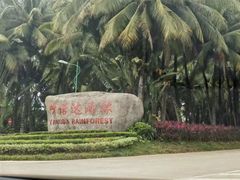 -呀诺达热带雨林