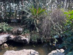 -龙坞茶村