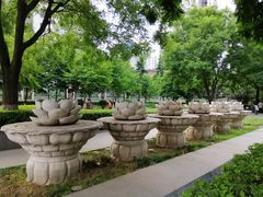 -木塔寺遗址生态公园