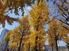 -两江幸福广场