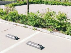 -王顺山国家森林公园