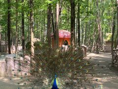 -昆山城市生态森林公园