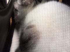 -沐沐家宠物(成寿寺店)