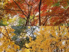 -中山公园