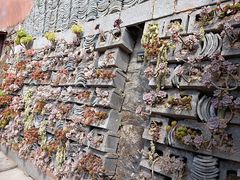-寂照庵