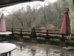 -龙井壹号·茶缘山景宴(龙井村店)