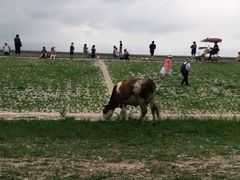 -十三陵水库