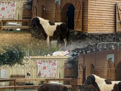 -HERRE·FARM 赫尔露营农场·团建聚会包场