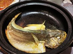 -大浪潮·潮汕菜·招牌生腌小青龙(福田店)