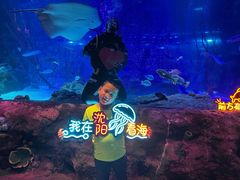 -沈阳海洋探索中心