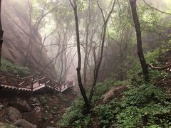 -大岭沟猕猴桃谷风景区