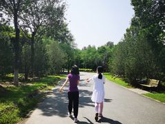 -永定河休闲森林公园