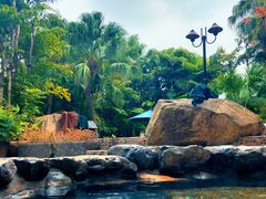 -厦门日月谷温泉渡假村