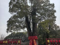 -韩湘水博园