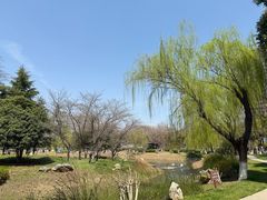 -堤角公园