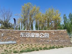 -东郊湿地公园