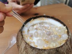 -椰爺爺·椰子冻砵仔糕
