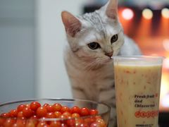 -茶百道(新城市广场店)