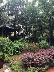 -莲生母婴月子中心(清水河公园店)