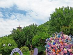 -牛首山文化旅游区