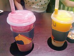 -春丽小马(济南恒隆广场店)