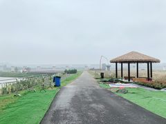 -光明小镇欢乐田园