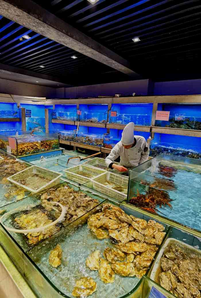 海鲨湾海鲜会馆(奥体店)-"东西饭量超足,还算新鲜,下次还准备去.