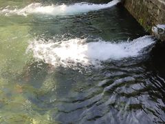 -教师之家赵家羊汤馆(东青龙街店)