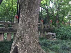 -汇龙潭