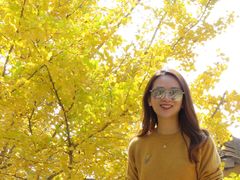 -千年银杏谷文化旅游区