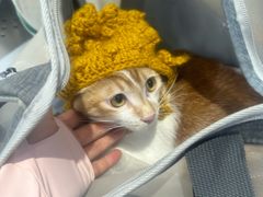 -荔康动物医院(康王北路店)