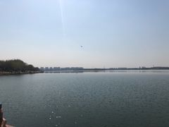 -丁香湖公园