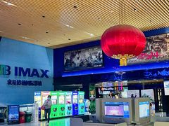 -农垦博纳国际影城(津奥广场IMAX店)