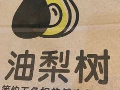 -油梨树AVOCADO TREE(顺义新国展店)