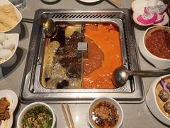 -海底捞火锅(新华联梦想城店)