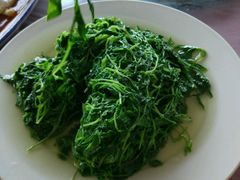 -青浦采草莓天天草莓园