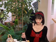 -菌林天下·野生菌汤锅