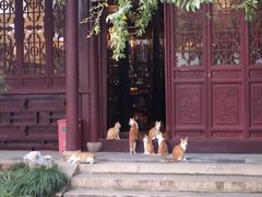 -苏州图书馆(人民路总馆)