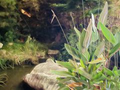 -聚缘堂·海鲜私房菜(松岭路店)