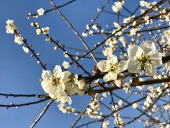 -广州市流溪河国家森林公园