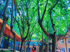 -西安电影制片厂