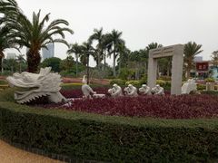 闽字型赛龙舟-白鹭洲公园