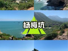 -杨梅坑